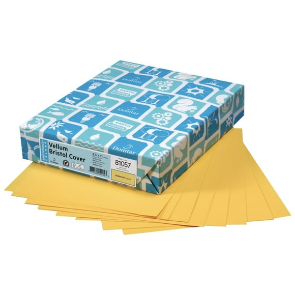 Domtar DMR81057 Papier à Copier et Polyvalent (Paquet Unique-250 Pages)