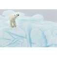 thumbnail image 2 of Gil Raga, Joan 24x17 White Modern Wood Framed Museum Art Print Titled - Polar Bear On Iceberg, 2 of 4