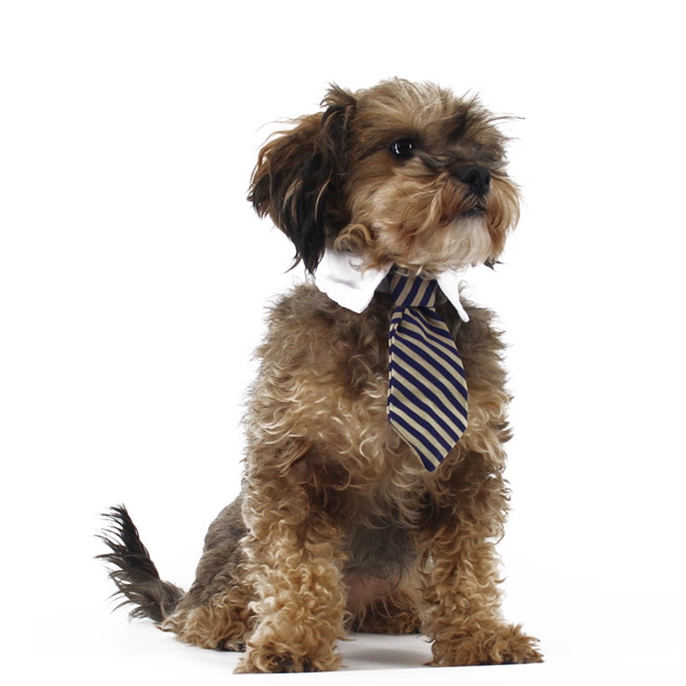 BESTYASH Adjustable Pet Necktie with Self Adhesive Closure for Comfortable Pet Decoration
