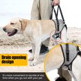 thumbnail image 3 of Arnés de soporte para perros GabeFish para patas traseras gris pequeño, 3 of 6