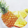 thumbnail image 5 of Fresh Gravity Dried Pineapple Slices - Ready to Eat, Naturally Sweet & Chewy | Tropical Snack for Snacking & Infusing Water (65g x 6), 5 of 5