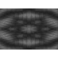 thumbnail image 1 of Ahgly Company Machine Washable Indoor Rectangle Transitional Carbon Gray Area Rugs, 4' x 6', 1 of 7