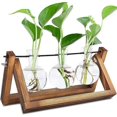 thumbnail image 3 of Terrario De Plantas, Macetero De Vidrio Para Colgar En La Pared Con Soporte De Madera Estación De Propagación De Mesa Florero De Bombilla Soporte Giratorio De Metal Estante Retro Con Florero, 3 of 5