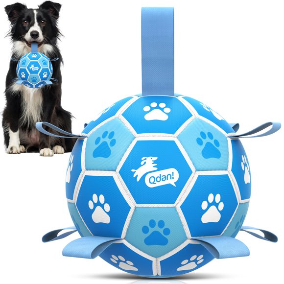 Pelota para perros QDAN 15 cm con correas – Juguete para exteriores