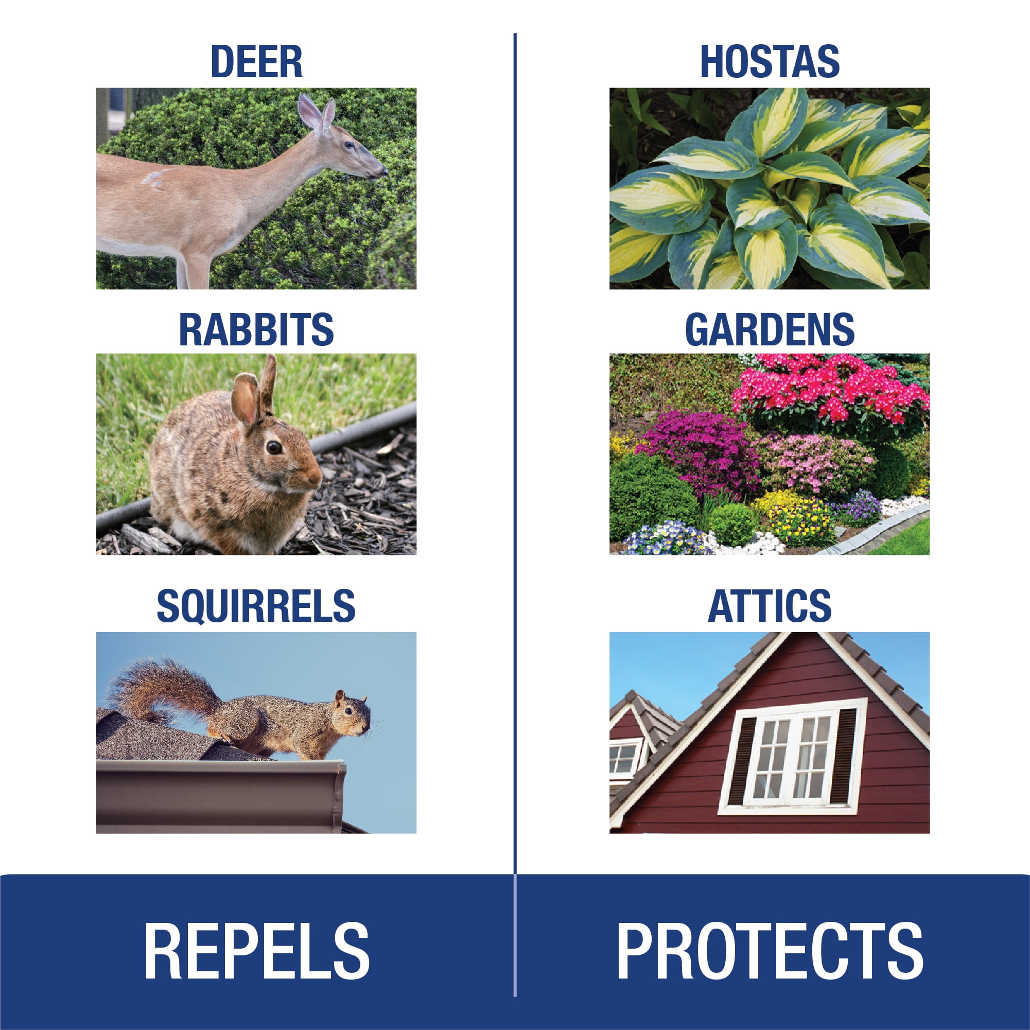 Enoz No Zone Indoor and Outdoor Animal Repellent Stations, Naphthalene Repellent, 4 oz, 4 Count