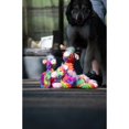 thumbnail image 2 of Fanta Zoo Giraffe Multicolor Dog Toy, 2 of 2