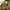 Khaki, variant on Tactical Backpack for Men and Women - Style Backpack for Hunting - Hiking Backpack & Travel Combat Backpack - Outdoor Tactical Backpacks & Sport