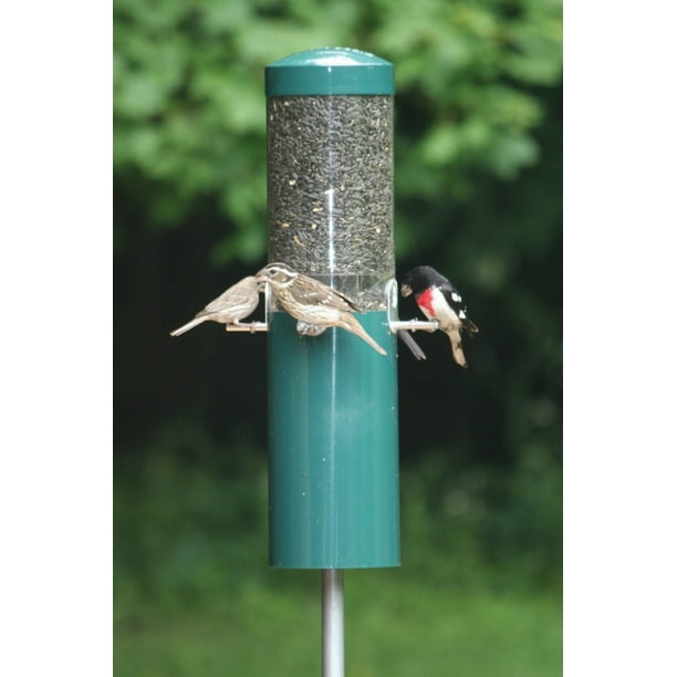 Birds Choice NP431 Classic Squirrel Resistant Wild Bird Feeder with