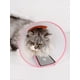 thumbnail image 4 of 1pc Pet Elizabeth Circle Collar For Dogs/Cats, Anti-Bite Anti-Scratch Neck Brace For Small/Medium/Large Pets, Beauty & Recovery Accessory, 4 of 5