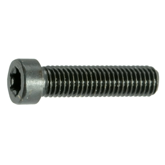 #6-48 x 9/16" Black Oxide T-10 Fillister Head Star Drive Gun Screws (8 pcs.)