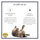 thumbnail image 3 of Premios para gatos Dr. Elsey's Protein Bites de pollo 170 g, 3 of 6
