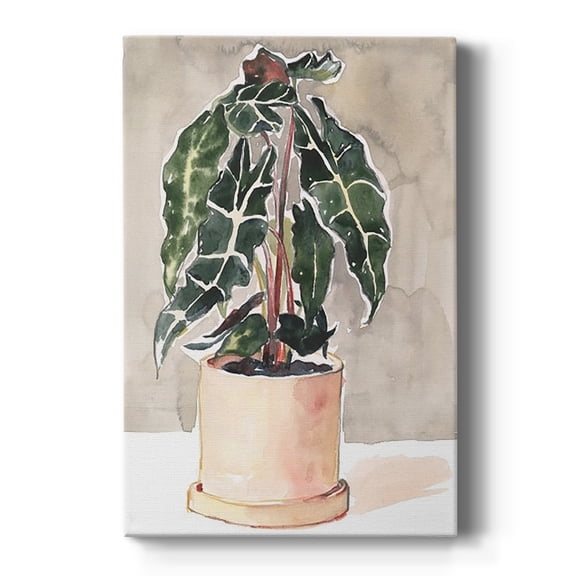 Potted Houseplant I Premium Gallery Wrapped Canvas - Ready to Hang
