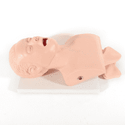 Anqidi PVC Intubation Manikin Study Teaching Model, Adult Oral Nasal Intubation Airway Management Trainer Tracheal Simulator 220V