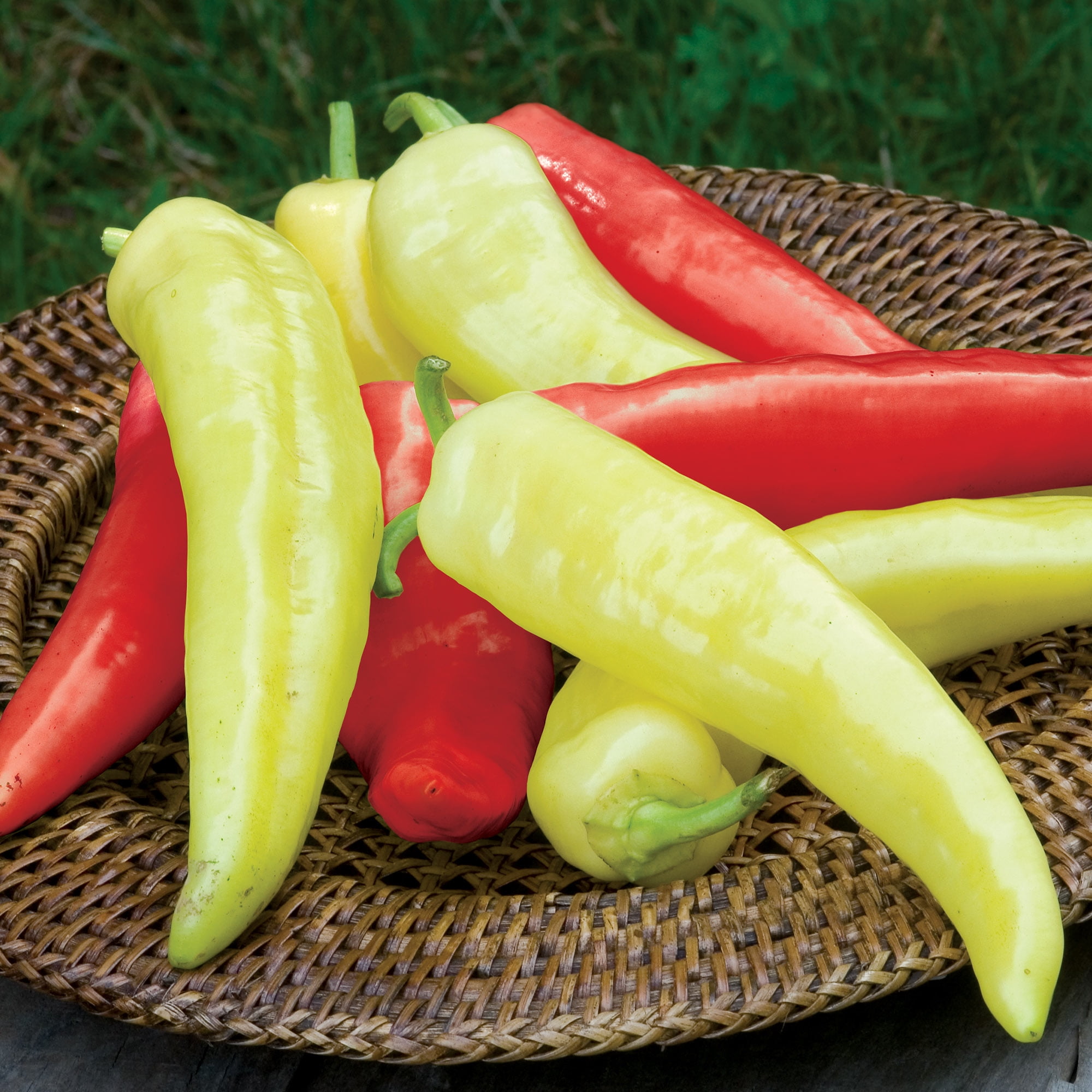 Burpee Long Pepper Blend Sweet Pepper Vegetable Seed, 1-Pack