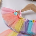 thumbnail image 6 of IBTOM CASTLE Toddler Baby Girls Birthday Party Dress Butterfly Embroidery Princess Tulle Tutu Wedding Pageant Evening Prom Ball Gown 12-18 Months Rainbow Flower, 6 of 8