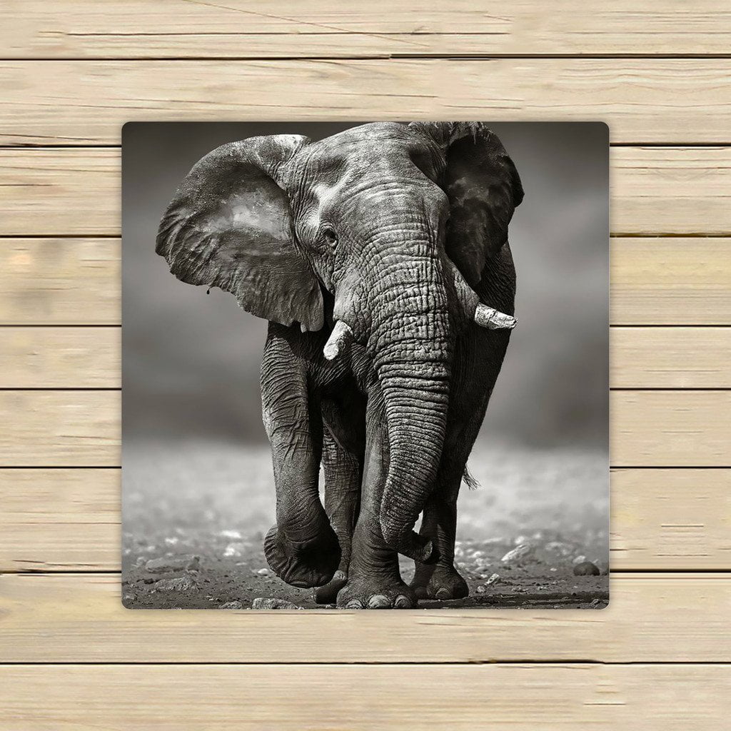 GCKG Black And White Style Old Elephant Hand Towel,Spa Towel,Beach Bath