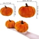 thumbnail image 2 of Txlixc Mini - calabazas de terciopelo, pequeñas calabazas artificiales para decoraciones de Acción de gracias Txlixc  moda, 2 of 9