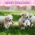 thumbnail image 3 of 12Pcs Multi Color Dog Rope Braided Chew Teething Toys Play Aggressive Heavy Duty, 3 of 6