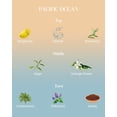 thumbnail image 2 of Vela aromática M&SENSE Summer Ocean, 300 ml, cera de soja natural, 2 of 9