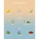thumbnail image 2 of Vela aromática M&SENSE Summer Ocean, 300 ml, cera de soja natural, 2 of 9