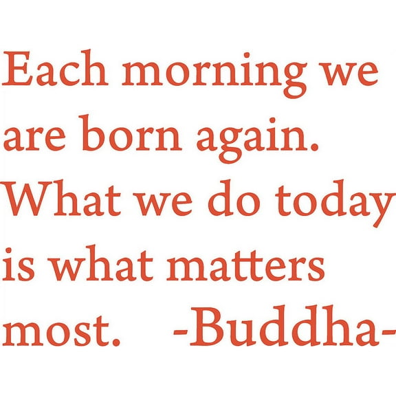 Orange 27" x 20" Each morning we are born again. Buddha Vinyl wall art Inspirational quotes and saying home decor decal sticker