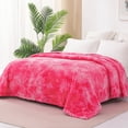 Exclusivo Mezcla Queen Size Flannel Fleece Blanket, 90x90 Inches
