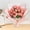 C, variant on Diy Twisted Stick Tulips Diy Twisted Stick Tulip Bouquet Kit, Handmade Fuzzy Stem Flowers, Craft Floral Making Material Set with Tutorial, Vibrant Handmade Fuzzy Stem Bouquet