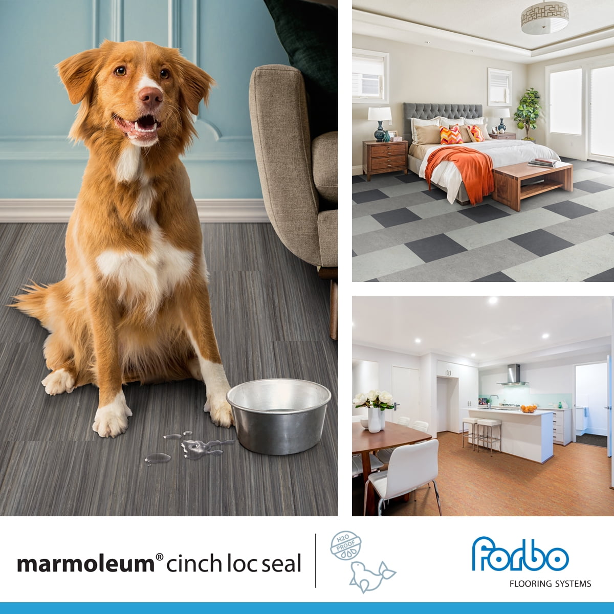 Forbo Flooring Marmoleum Cinch Loc Seal Laminate Square in