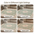 thumbnail image 7 of ODIKA 6'x9' Washable Area Rug Long Sage Vintage Bird Distressed Scroll Flourishes Bathroom for Family Room, Living Room, Master Bedroom, Non-Slip, Easy Care, 7 of 7