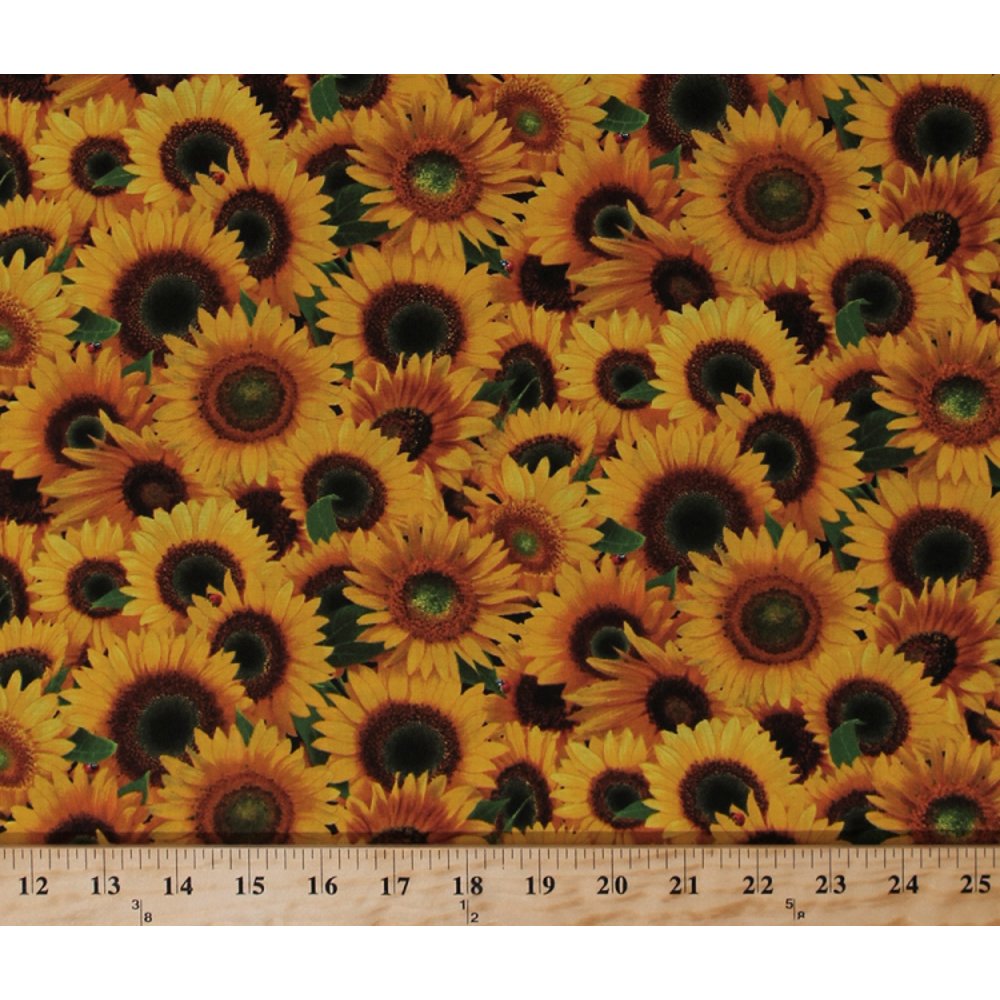 Cotton Sunflower Yellow Sunflowers Blooms Blossoms Flowers Floral
