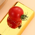 thumbnail image 5 of Zmoon Stainless Steel Beer Bottle Opener, 5 of 5