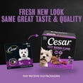 thumbnail image 4 of Cesar Classic Loaf in Sauce Filet Mignon Flavor Adult Wet Dog Food, 3.5 oz Easy Peel Trays, 24 Ct., 4 of 14