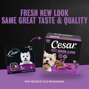 Cesar Classic Loaf in Sauce Filet Mignon Flavor Adult Wet Dog Food, 3.5 oz Easy Peel Trays, 24 Ct.