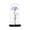 Clear, variant on Fridja Valentine's Day Gift for Women Purple Rose Birthday Gifts for Her Rose Enchanted Warm Light Led Flower Galaxy Rose Light in Glass Dome, Unique Gifts for Her Wedding , Anniversary