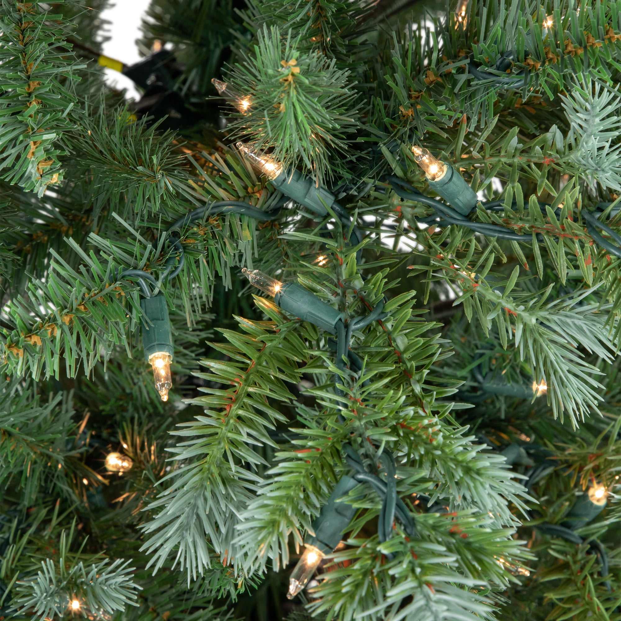 6' Pre-Lit Blue Spruce Artificial Christmas Tree Clear Lights