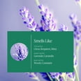 thumbnail image 2 of Aceite esencial Aera Home Hygiene Lavanda y bergamota, 2 of 8