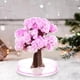thumbnail image 2 of Árbol Mágico de Flor de Cerezo, Accesorios de Kits Mágicos, Mini Árbol Mágico Cereza en Crecimiento de Cristal, Árboles de Cristal de Papel en Flor, Juguetes, Decoración de Escritorio, Regalo para Niñ, 2 of 7