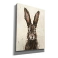 thumbnail image 2 of Epic Graffiti 'European Hare I' by Ethan Harper, Giclee Canvas Wall Art, 12"x16", 2 of 8