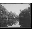 thumbnail image 2 of Historic Framed Print, [On the Tomoka River, Ormond, Fla.], 17-7/8" x 21-7/8", 2 of 9