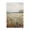 Wildflower Meadow Horizon_v1, variant on Stupell Industries Traditional A Field Of Wildflowers Black Framed Giclee Art, 12 x 18, by Creative Studio