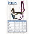 thumbnail image 2 of Perri's Classic Break-Away Nylon Safety Halter, 2 of 2