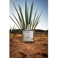 thumbnail image 4 of Mezcal Ancestral #1 Sipping - Jabalí (45% Alc. Vol.) #1 SIPPING MEZCAL Colección de Agaves Silvestres / #1 Sipping Mezcal artesanal, 4 of 5