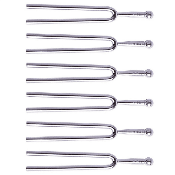 6X Tuning Fork with Soft Shell Case, Standard A 440 Hz