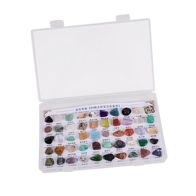 segolike 50 Pieces Mineral Rocks Science Party Favors Rocks Collection for Kids for Craft