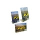 Bulk Buys PH308-24 Stand-Up Cadres Photo Transparents -Pack de 24 – image 1 sur 1