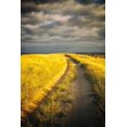 thumbnail image 2 of Aledanda 13x18 White Modern Wood Framed Museum Art Print Titled - Down the Road, 2 of 4