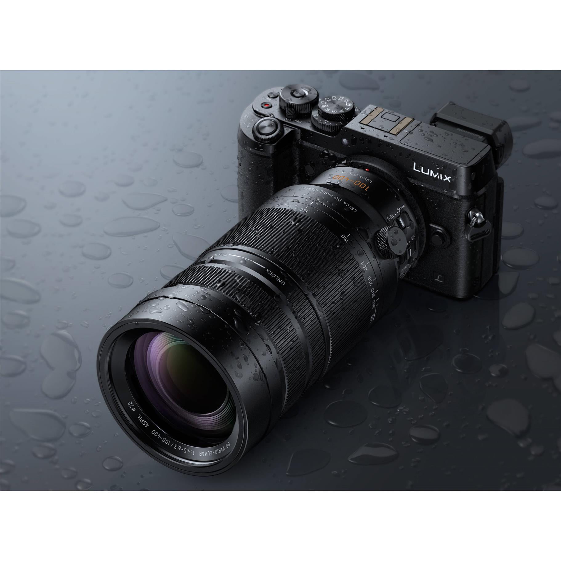 Panasonic Lumix G Leica DG Vario-Elmar 100-400mm f/4-6.3