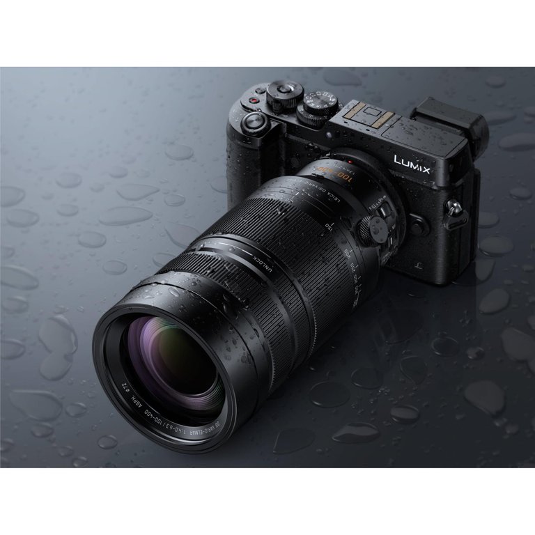 Panasonic Lumix G Leica DG Vario-Elmar 100-400mm f/4-6.3 ASPH