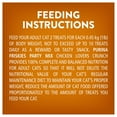 thumbnail image 3 of Friskies Party Mix Croquant Amateurs de Poulet Gâteries pour Chats, 3 of 9