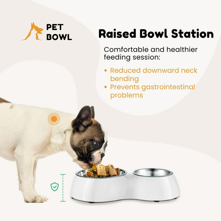 Flexzion flexzion elevated dog bowl - raised dog bowls for medium dogs  removable stainless steel dog food and water bowl - non-skid do